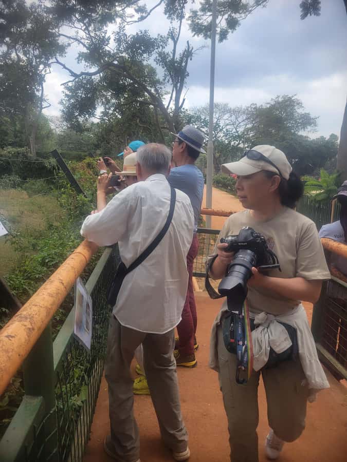 Entebbe: Female-Led Guided Walking Tour - Starting at Victoria Mall