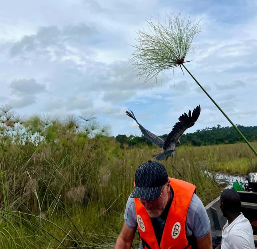 Entebbe: Mabamba Swamp Shoebill Tracking Boat Tour - Crossing Lake Victoria by motorized canoe