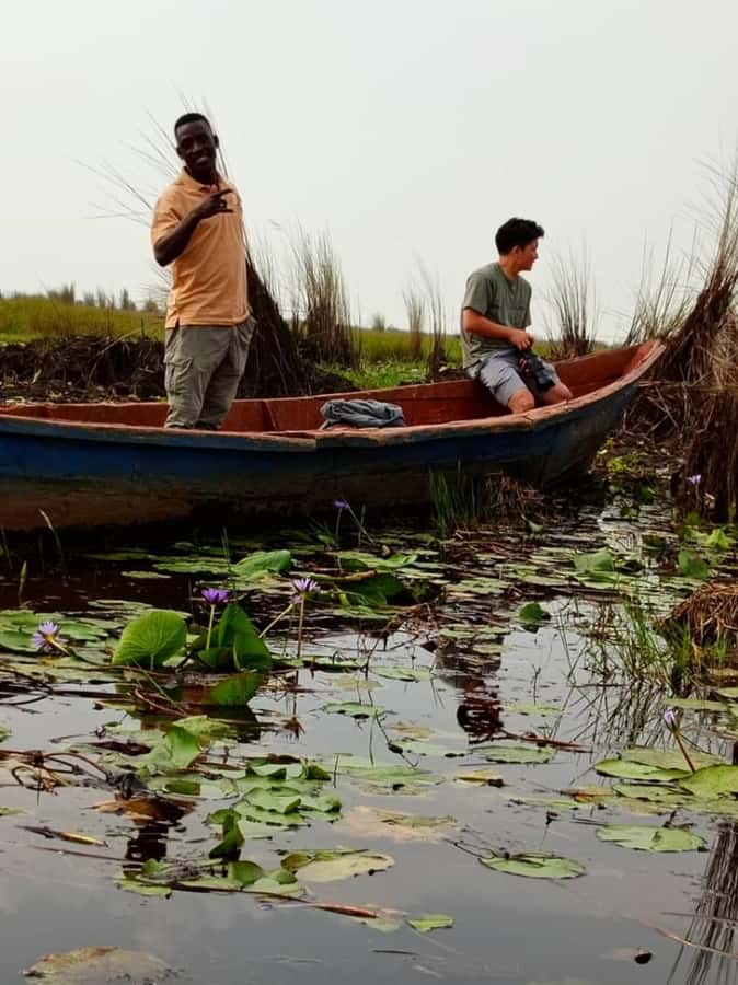 Entebbe: Mabamba Swamp Shoebill Tracking Boat Tour - A three-hour schedule with some useful flexibility