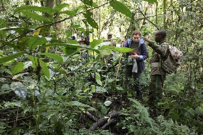 Experience Chimpanzee Trekking in Budongo Forest - The value of a $150 private tour
