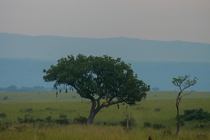Exploring The Mighty Falls In Uganda - Ziwa Rhino Conservancy, the first major stop