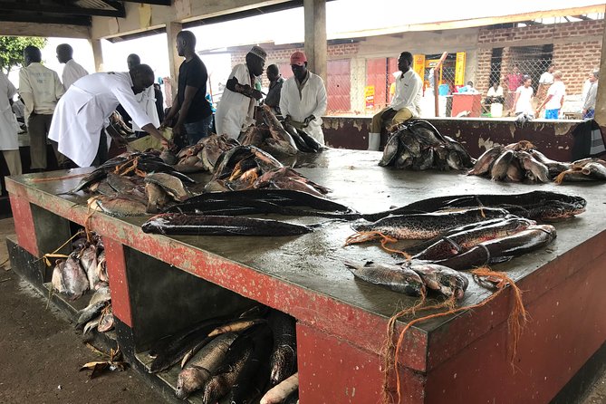 Fishing Village Food Tour & Luwombo Stop - From Kampala’s City Square toward Lake Victoria