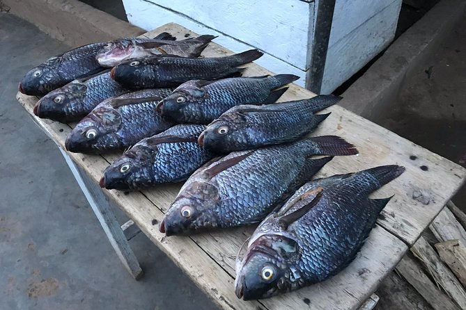Fishing Village Food Tour & Luwombo Stop - Is $101.54 a fair price?