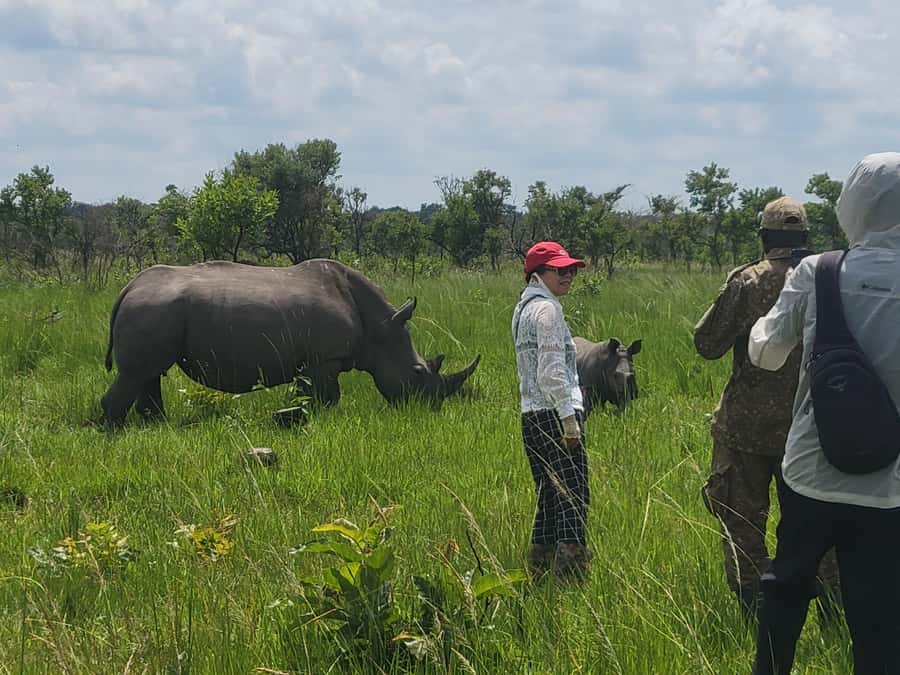 From Kampala: Ziwa Rhino Sanctuary Day Tour with Lunch - What the rhino encounter feels like