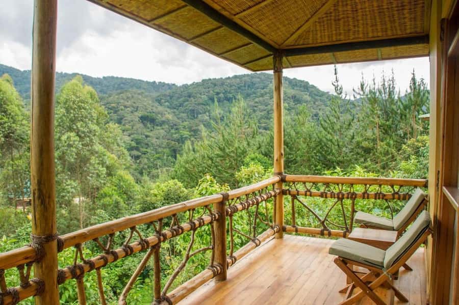 From Kigali: 2-Day Gorilla Trek: Bwindi Nat Park - Kigali to Uganda in one long morning