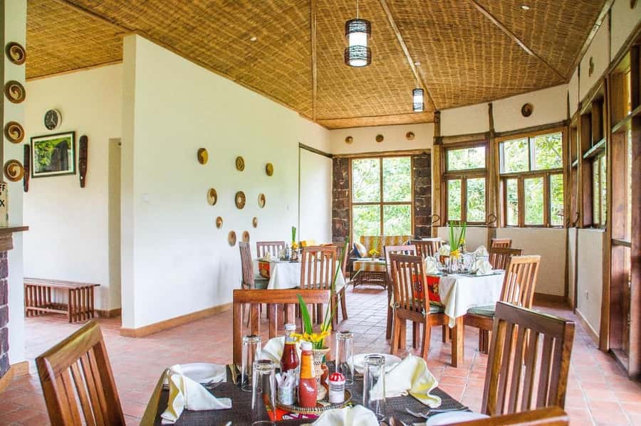 From Kigali: 2-Day Gorilla Trek: Bwindi Nat Park - Who should book this trip