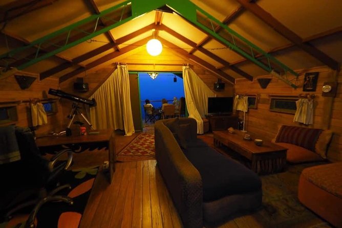Gorilla and chimp experience holiday - Key points before you book