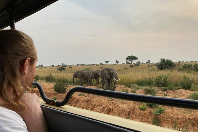 Gorilla & Chimpanzee Trekking in Uganda - 5 Days - Why this five-day route works