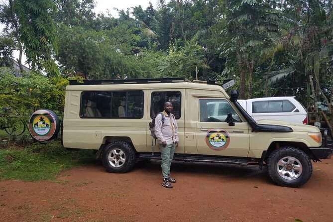 Gorilla & Chimpanzee Trekking in Uganda - 5 Days - Day 4: Gorilla trekking in Bwindi