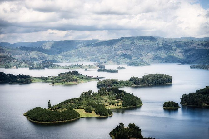 Gorilla Safari Holiday - Key points to know before booking