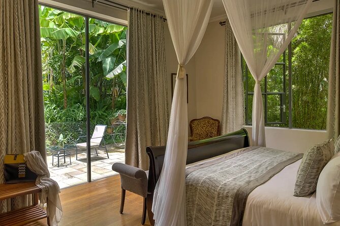 Gorilla Safari Holiday - What the forest adds beyond gorillas
