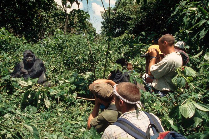 Gorilla Tracking & Batwa Culture Experience - The Batwa community visit after the trek