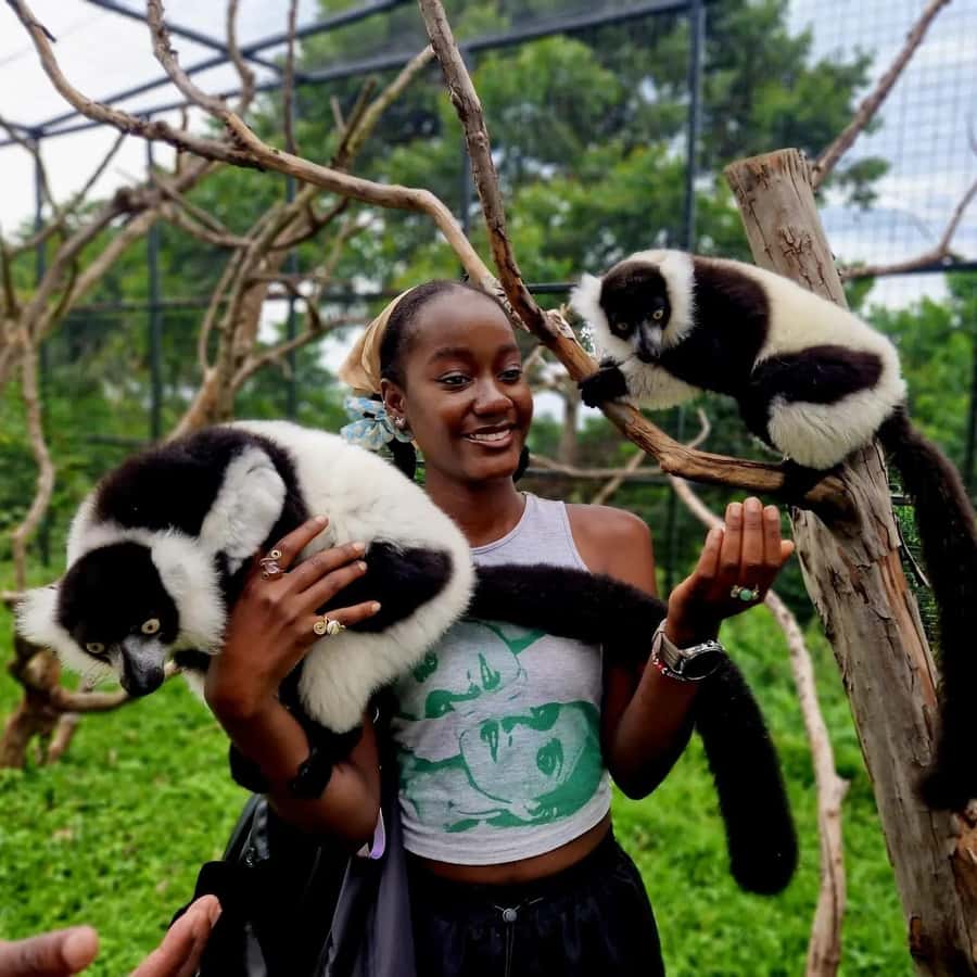 Kampala: Conservation Centre for Wildlife Guided Tour - Giraffes, lemurs, and the wider animal collection