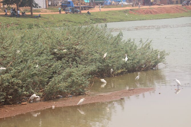Kampala cultural tours - Royal Mile, Kabaka’s Lake, and Kampala’s city rhythm