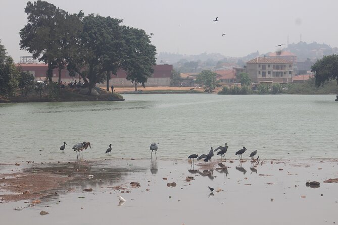 Kampala cultural tours - Traditional food and spiritual traditions