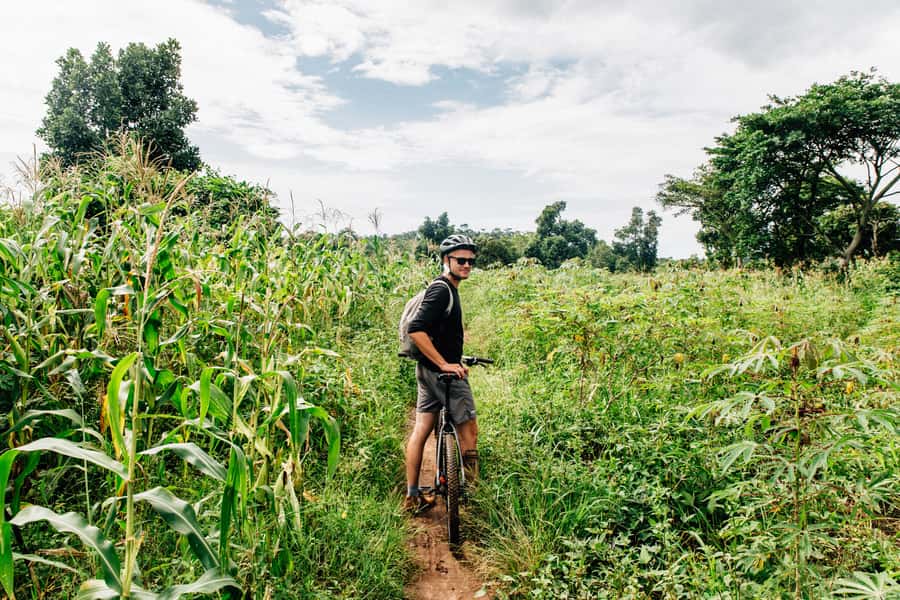 Kampala: Lake Victoria Island Cycling Tour - How the guide shapes the day