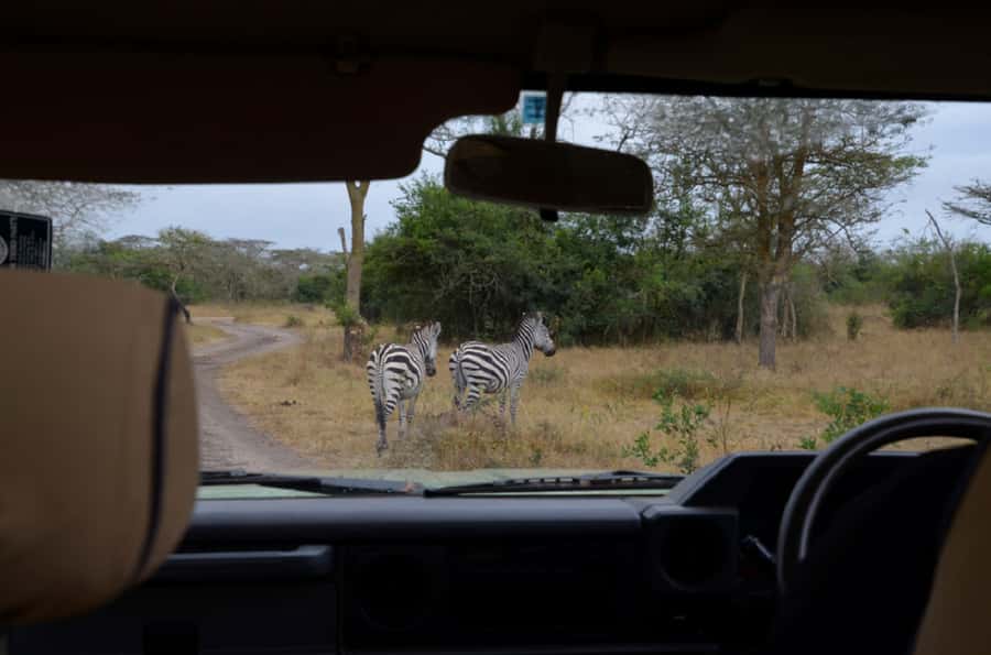 Lake Mburo National Park with Equator, Game Drive & Cruise - The optional walking trail