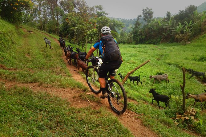 Lake Victoria Island Cycling Tour from Kampala - The beach stop and the included refreshments