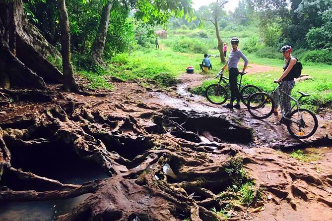 Lake Victoria Island Cycling Tour from Kampala - Who will enjoy this ride most