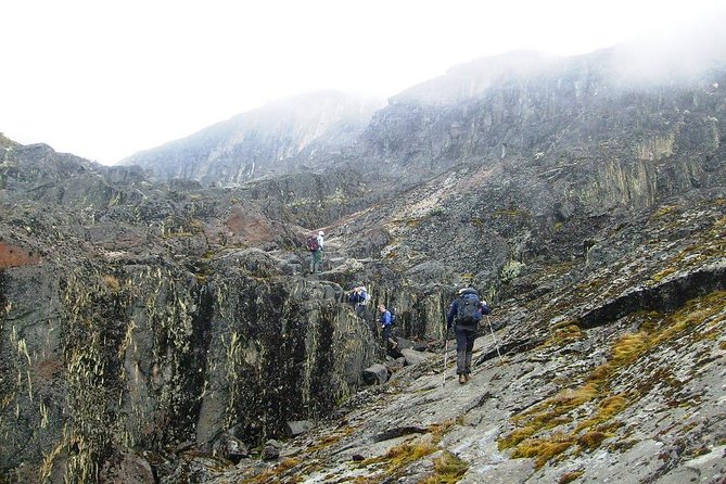 Mountain Rwenzori Trekking Uganda 9 Day Safari - Day 7: Freshfield Pass and Guy Yeoman Hut