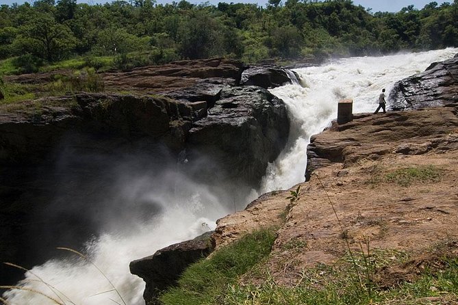 Murchison Falls National Park - 3 Days - Day two: game drives in the northern sector