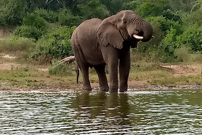 Private 3-Day Tour in Queen Elizabeth Park Safari - Why Queen Elizabeth National Park works well in three days