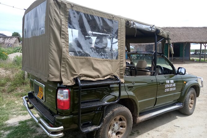 Private 3-Day Tour in Queen Elizabeth Park Safari - Who should book this private safari