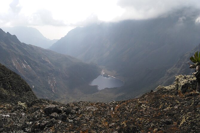 Rwenzori Mountains Trekking with Margherita Peak Summit - Day 3: Bigo Bog and Bujuku Lake