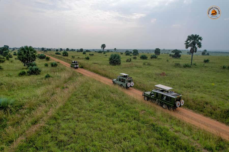 The Big5 3 Days Wildlife Adventure Experience in Uganda. - Ziwa Rhino Sanctuary and the return of Uganda’s rhinos
