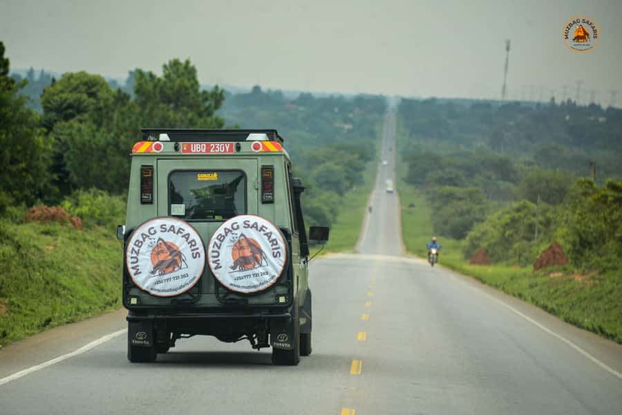The Big5 3 Days Wildlife Adventure Experience in Uganda. - Morning and evening game drives