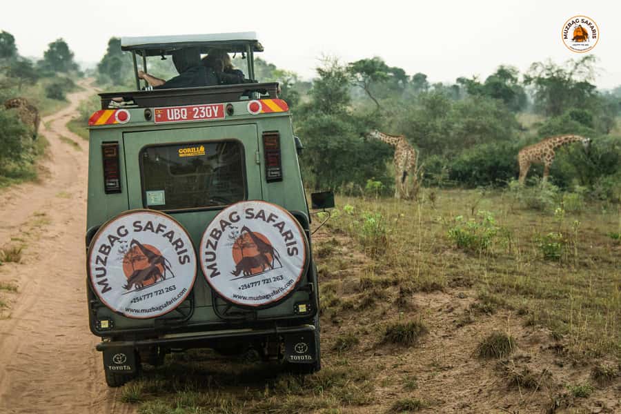 The Big5 3 Days Wildlife Adventure Experience in Uganda. - Pakuba Lodge and the value of the package