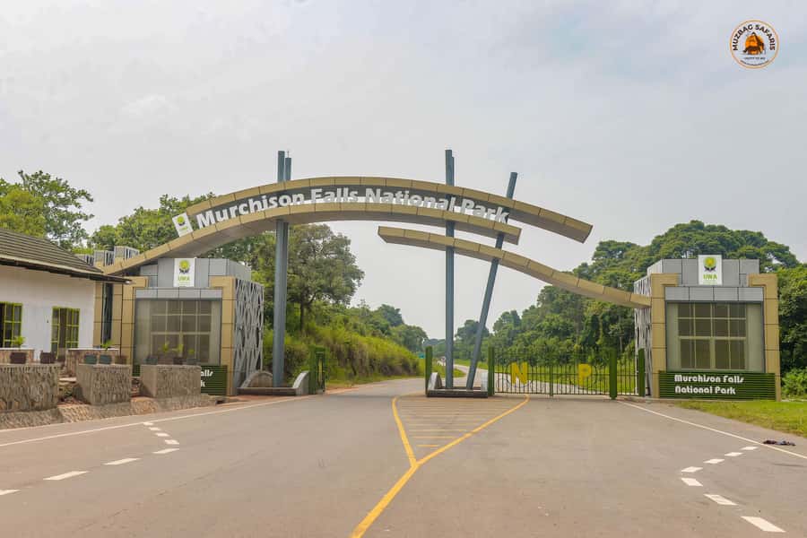 The Big5 3 Days Wildlife Adventure Experience in Uganda. - The guiding team and communication