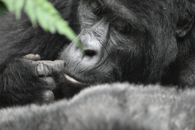 Three Days Gorilla Safaris In Uganda - The Equator stop gives the first break