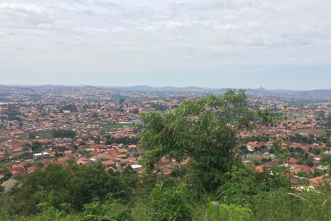 Tombs, King’s palace & Gaddafi mosque walk (Airpals Safaris tour) - Why this short Kampala tour works