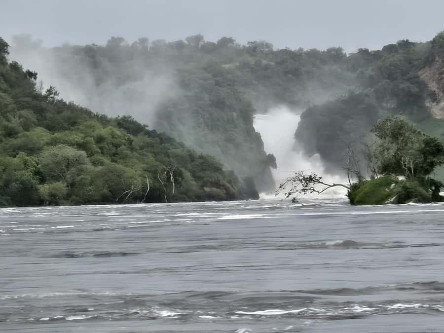Uganda: 2-Day Murchison Falls Park Safari with Boat cruise - Who should book this safari?