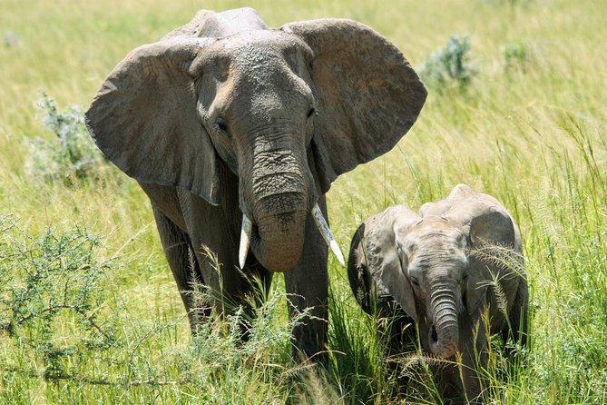 Uganda Wildlife Holiday - 8 Days - Day 1: A simple start in Entebbe