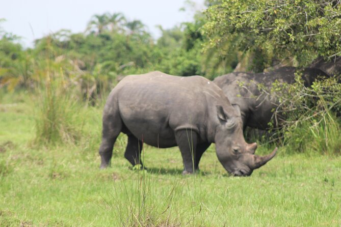 Unforgettable 3 days Murchison falls. - Booking and cancellation details worth noting