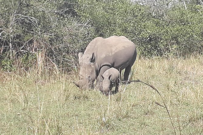 Zziwa Rhino Sanctuary Walking Safari - Key points at a glance